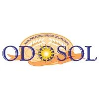 ODOSOL ODOSOL