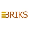 EBriks Infotech Pvt. Ltd.