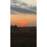 D & T Miller Contracting