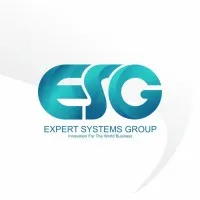 EXPERT SYSTEMS GROUP