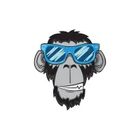 digimonkeys.com