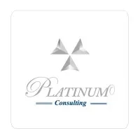 PLATINUM CONSULTING