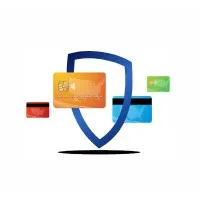 Tesla Payments Tesla Payments