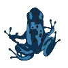 Blue Frog Blue Frog