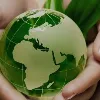 Future World Alliance Future World Alliance
