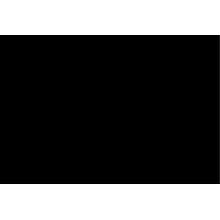 Plasmont International Inc