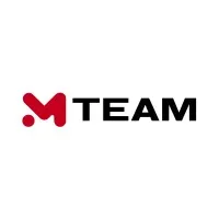 MTEAM Shared Service Center at GRAFIT HOLDING 