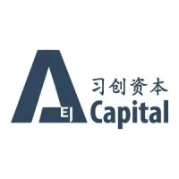 AEI Capital Group
