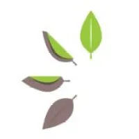 Educational Associates & Affiliates