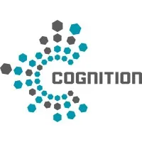 Cognition IES