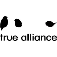 True Alliance Business Solutions