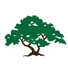 Traverso Tree Service Traverso Tree Service