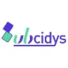 Subcidys
