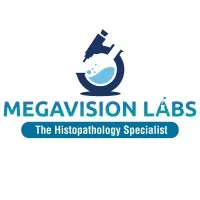 Megavision Labs Pvt Ltd.