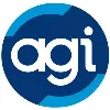 American-German Institute American-German Institute