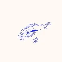 OBSC Perfection Pvt Ltd Overview | SignalHire Company Profile