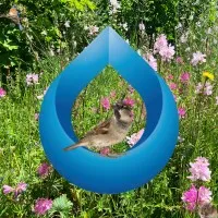 Forensic Building Consultants