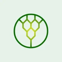 Aropa Consulting