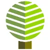 Arbor Creek Tax & Consulting