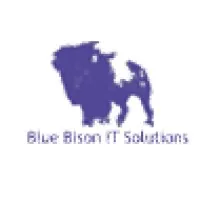 Blue Bison IT Solutions