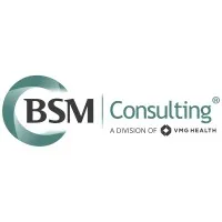 BSM Consulting