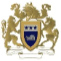 Michael Shannon Consulting LLC