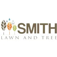 Smith Lawn and Tree