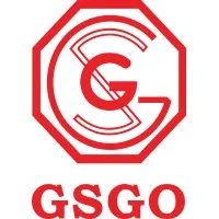 GSGO BROS INC
