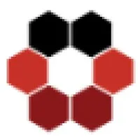 Intrepidus Group, Inc.