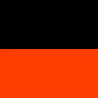 Knights In Orange