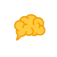 The Right Brain The Right Brain
