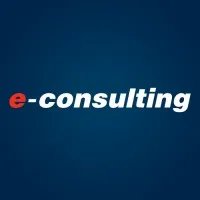 E-Consulting