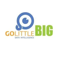 GoLittleBig Technology Solutions