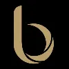 Burj Financial Services