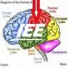 Intelligence Everywhere Enterprises Intelligence Everywhere Enterprises
