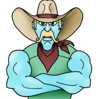 Western Truck Insurance Services Inc