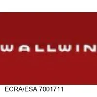 Wallwin Electric Services Ltd. 
