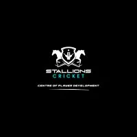 Stallions Cricket