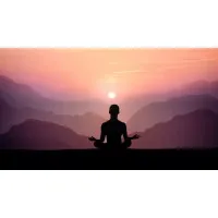 Zenful U Zenful U
