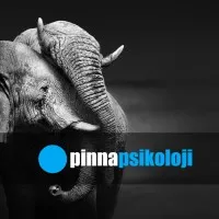 Pinna Psikoloji