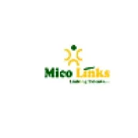 Mico Links Services India Pvt Ltd