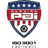 PAI Industries Inc. PAI Industries Inc.