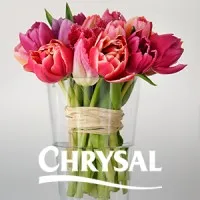 Chrysal International BV email format