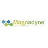 Magnadynesolutions Inc Magnadynesolutions Inc