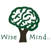Wise Mind PLLC Wise Mind PLLC