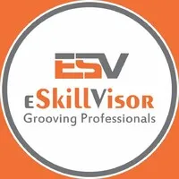 ESkillVisor