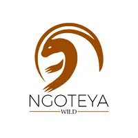 Ngoteya Wild