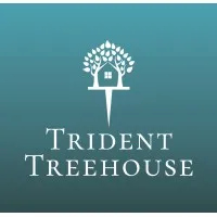 Trident Treehouse Business Consultancy