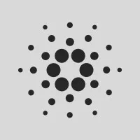Cardano Foundation