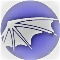 MSN Solutions LLC™